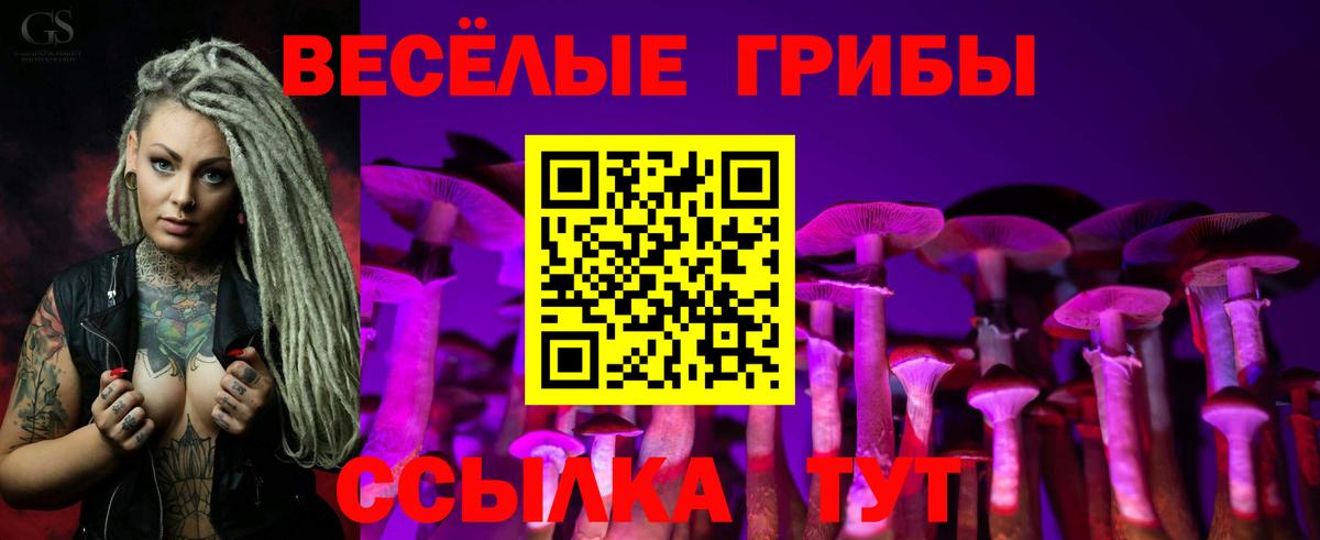 Чита  Галлюциногенные грибы Psilocybe  Псилоцибиновые грибы мицелий  Вход с VPN 